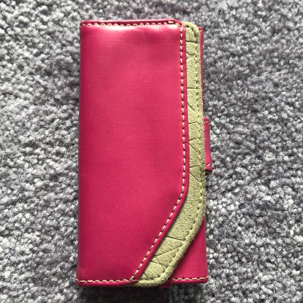 Ipod Case